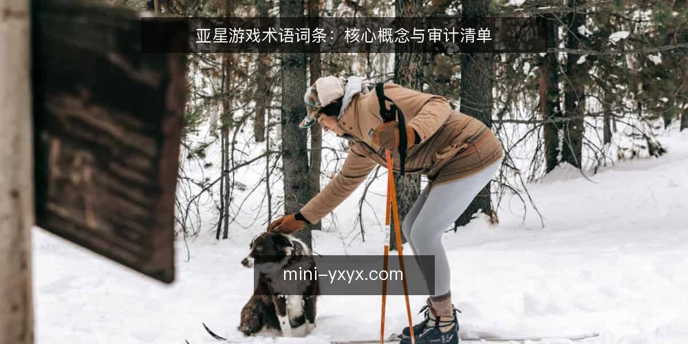 亚星游戏术语词条:核心概念与审计清单 — 为何现在审计亚星游戏术语 配图