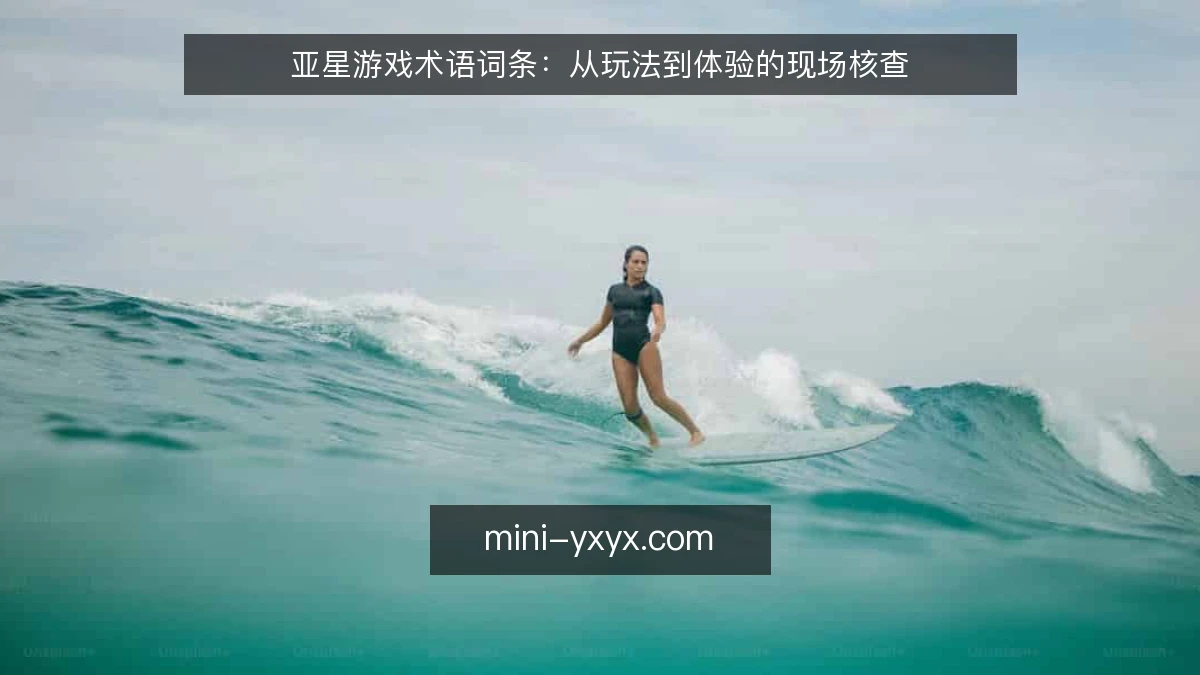 亚星游戏术语词条：从玩法到体验的现场核查