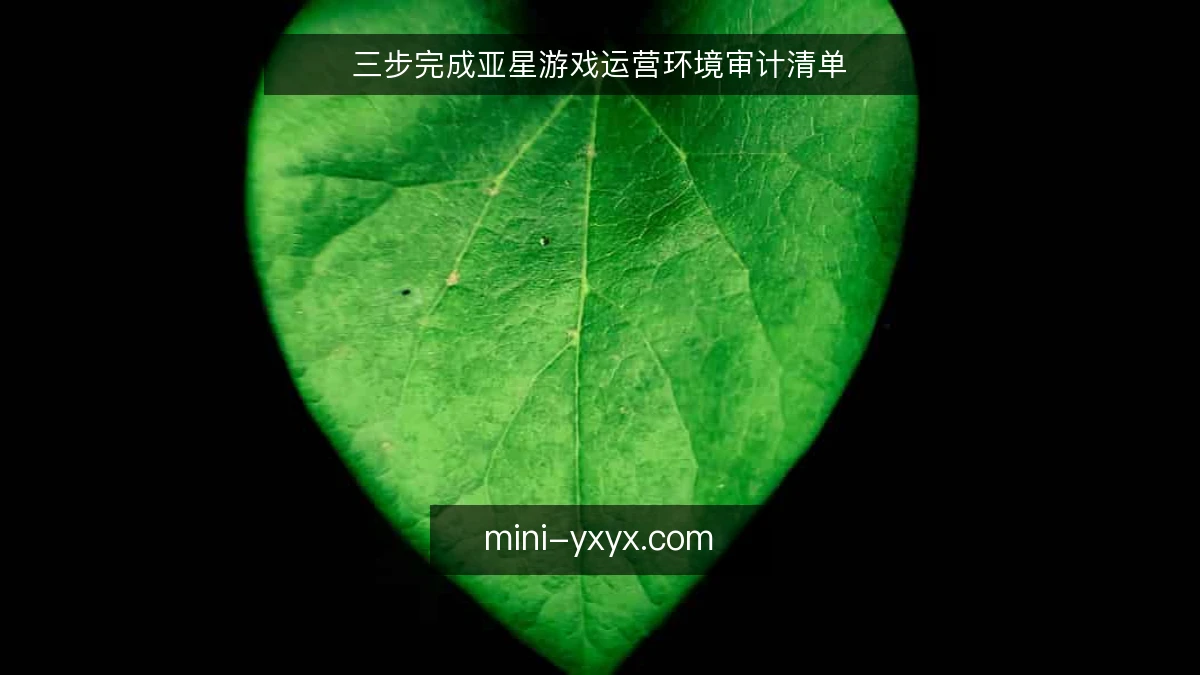 三步完成亚星游戏运营环境审计清单