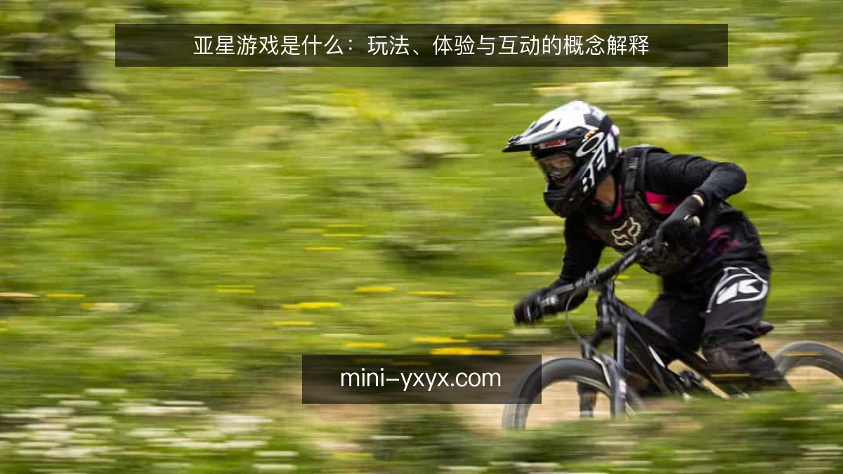 亚星游戏是什么:玩法、体验与互动的概念解释